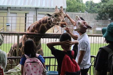 浜松市動物園の園内