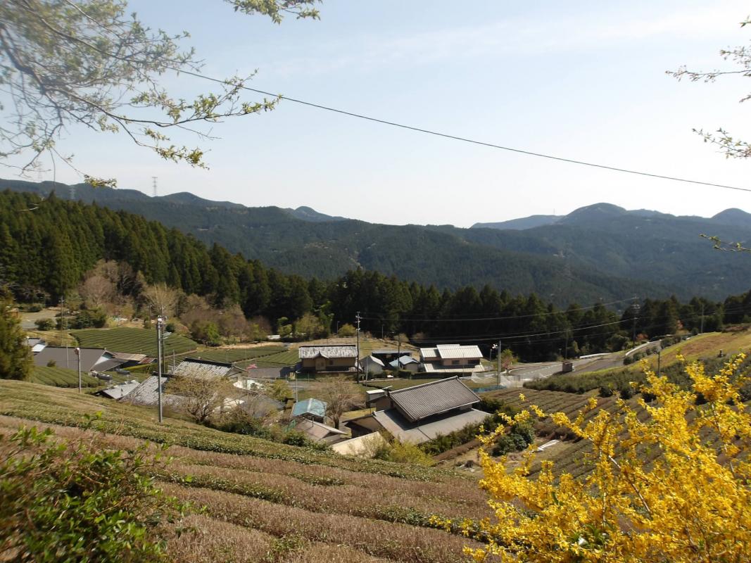 和泉平自治会
