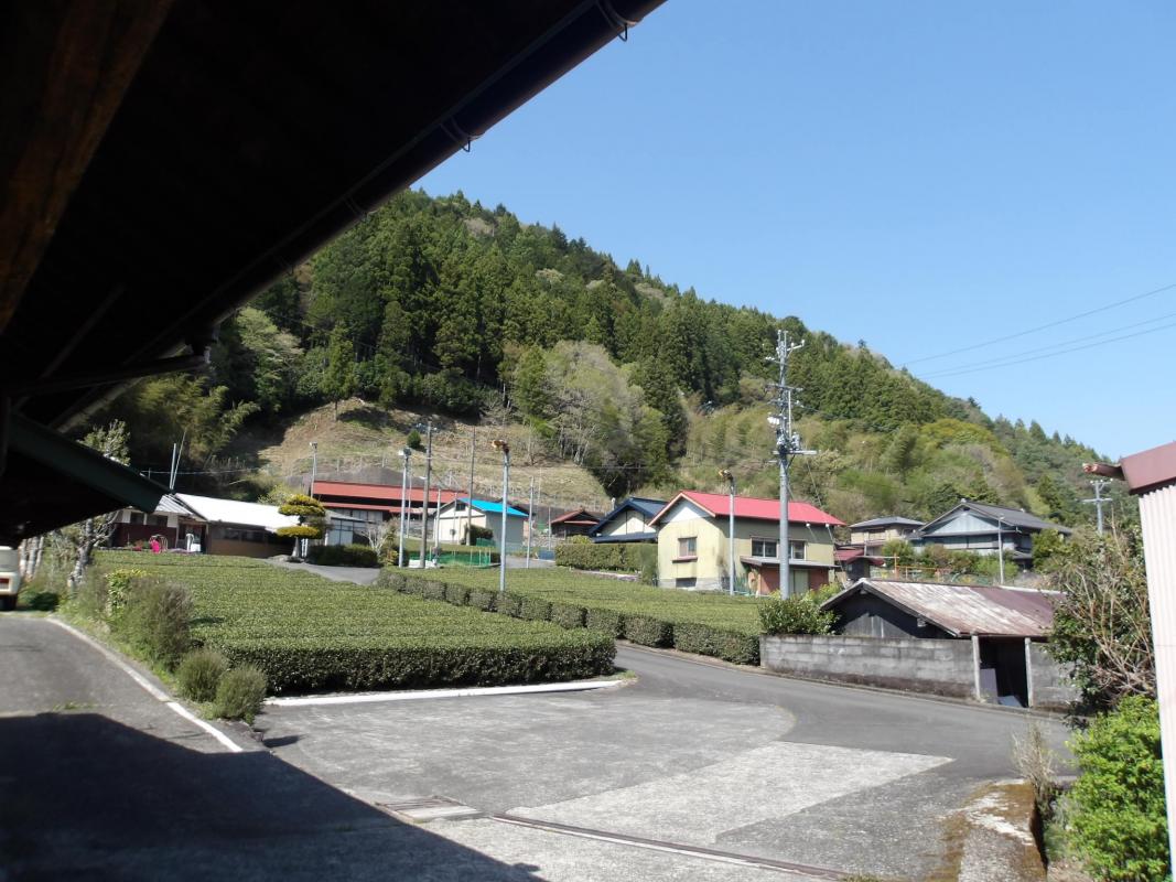 川上自治会