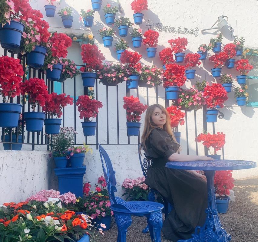 アンバーの写真