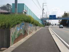 写真：通学路に歩道を整備した例