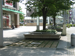 写真：植樹桝を利用した休憩施設の例